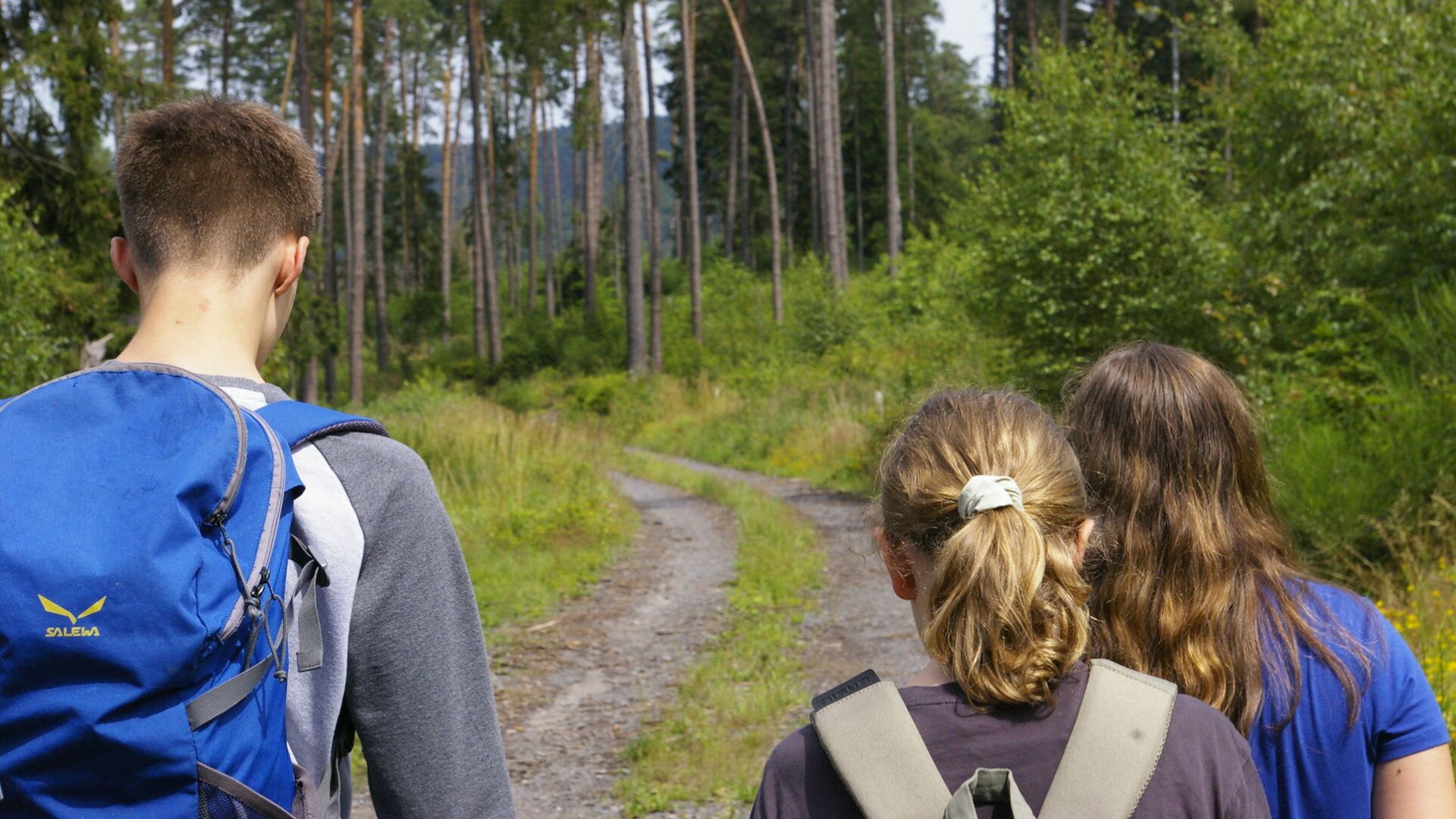 Das Bild zeigt drei Jugendliche von hinten, die auf einem unbefestigten Weg in einem Wald gehen. Eine Person mit einem blauen Rucksack führt die Gruppe an, gefolgt von zwei jüngeren Personen, die ebenfalls Rucksäcke tragen. Der Weg schlängelt sich durch den Wald, der von hohen Bäumen und grünem Unterholz geprägt ist. Der Fokus liegt auf den Personen und ihrem Weg durch die Natur.